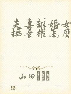 夫妻离婚女孩子抚养权怎么判定封面