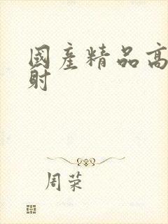 国产精品高潮内射