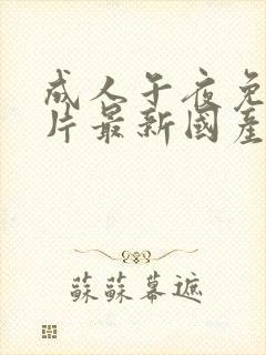 成人午夜免费大片最新国产制