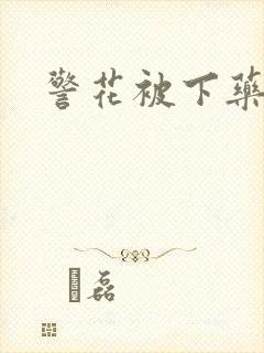 警花被下药小说