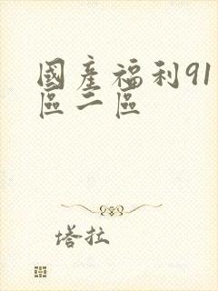 国产福利91一区二区