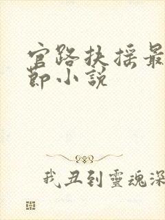 官路扶摇最新章节小说