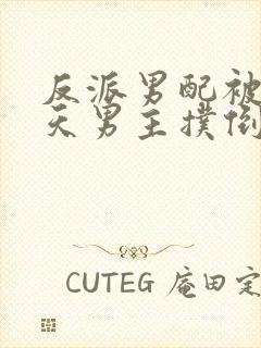 反派男配被龙傲天男主扑倒了