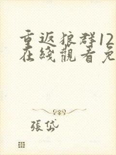 重返狼群12集在线观看免费版高清