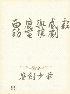 白鹿与成毅合作的电视剧