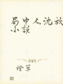 局中人沈放同人小说封面