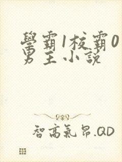 学霸1校霸0双男主小说