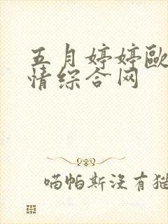 五月婷婷欧美激情综合网