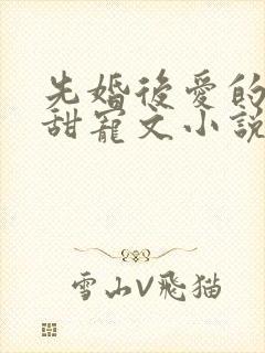 先婚后爱的古言甜宠文小说