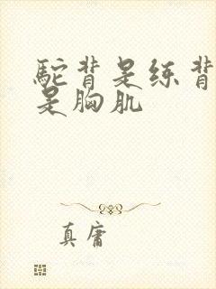 驼背是练背肌还是胸肌封面