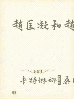 赵匡凝和赵匡胤封面