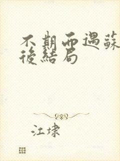 不期而遇苏文最后结局