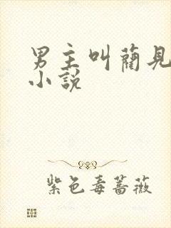 男主叫蔺见淮的小说