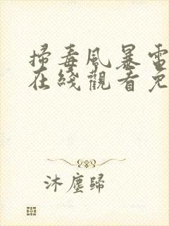 扫毒风暴电视剧在线观看免费高清