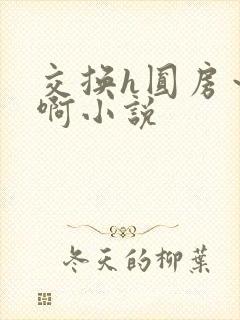 交换h圆房～嗯啊小说