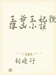 王爷王妃貌美还狠凶小说封面