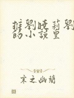 推刘晓莉刘亦菲的小说皇