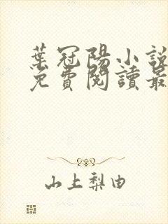 叶冠阳小说全文免费阅读最新章节