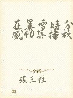 在暴雪时分电视剧40集播放