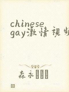 chinesegay激情视频封面