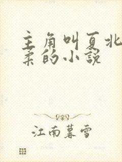 主角叫夏北许馨柔的小说