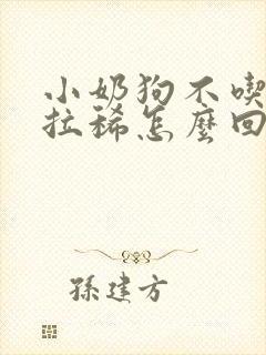 小奶狗不吃东西拉稀怎么回事