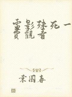 电影殊死一搏免费观看