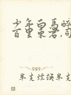 少年白马醉春风百里东君,司空长风完整版txt封面