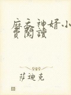 麻衣神婿小说免费阅读