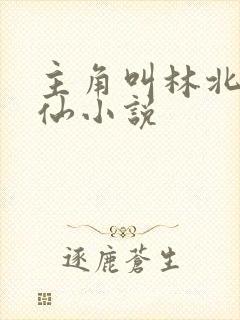 主角叫林北的修仙小说