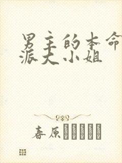 男主的本命是反派大小姐