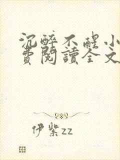 沉醉不醒小说免费阅读全文无弹窗封面