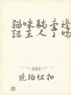 猫咪躺旁边睡是认主人了吗