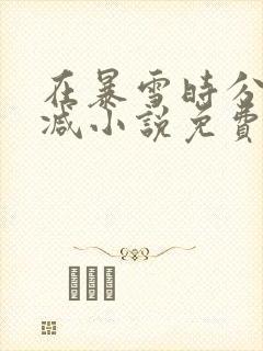 在暴雪时分未删减小说免费阅读