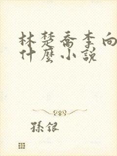 林楚乔李向南是什么小说