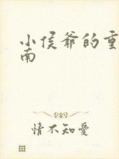 小侯爷的重生指南