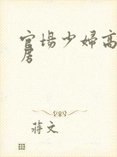 官场少妇高耸乳房