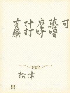 有什么药可以治疗打呼噜