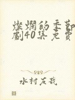 灿烂的季节电视剧40集免费观看高清