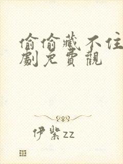 偷偷藏不住漫画剧免费观