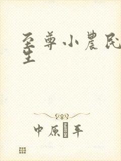 至尊小农民王木生