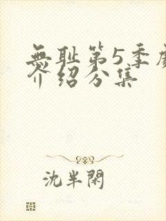 无耻第5季剧情介绍分集