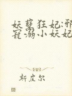 妖孽狂妃:邪君宠溺小妖妃