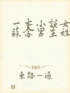 一本小说女主叫苏念男主姓陆