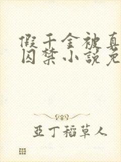 假千金被真少爷囚禁小说免费阅读