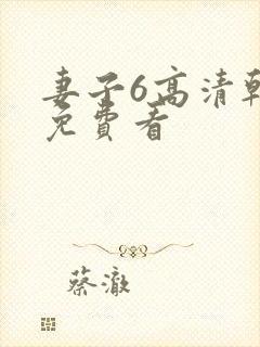 妻子6高清韩剧免费看