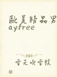 欧美精品男同gayfree