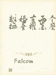 离婚有两个小孩抚养权怎么判定封面