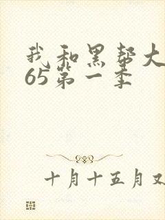 我和黑帮大佬365第一季