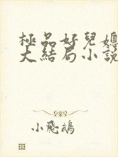 极品好儿媳秦雨大结局小说